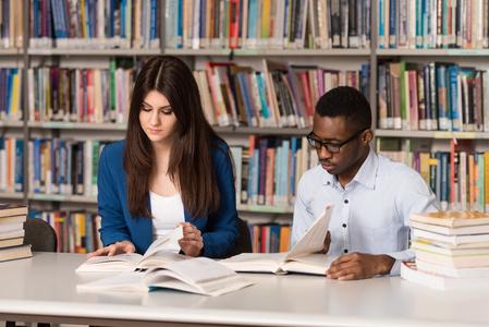 分类统计指标数据《中国对外贸易指数》期刊：投稿发表论文栏目