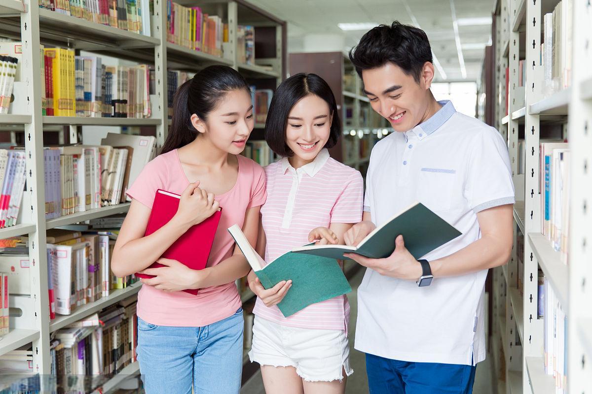 计算机信息网络多媒体编程：教师评职称学术专著教材出书出版办理指南